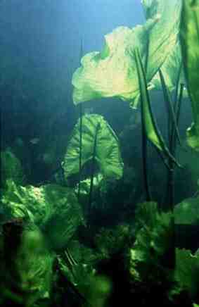 Stuibenf&auml;lle 01