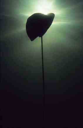 Stuibenf&auml;lle 01